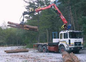 Dimostrazione lavorazione legname in campo