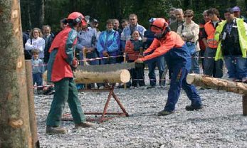 Dimostrazione lavorazione legname in campo, taglio tronco di legna